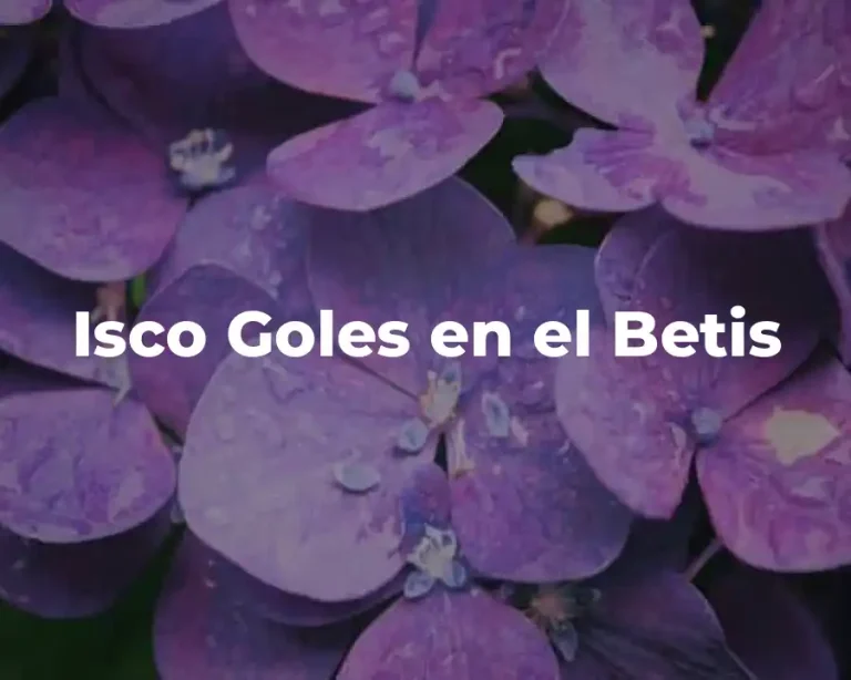 Isco Goles en el Betis