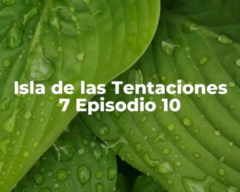 Isla de las Tentaciones 7 Episodio 10