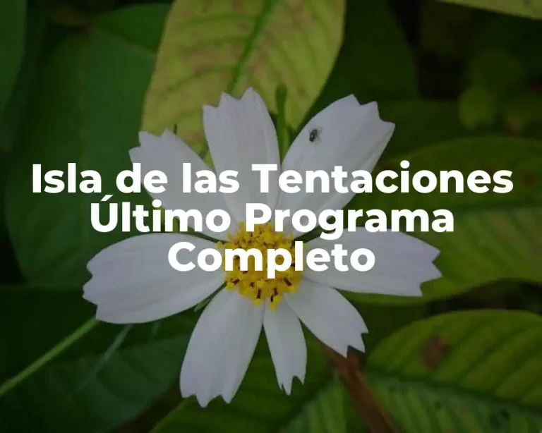 Isla de las Tentaciones Último Programa Completo