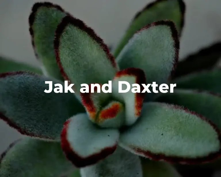 Jak and Daxter