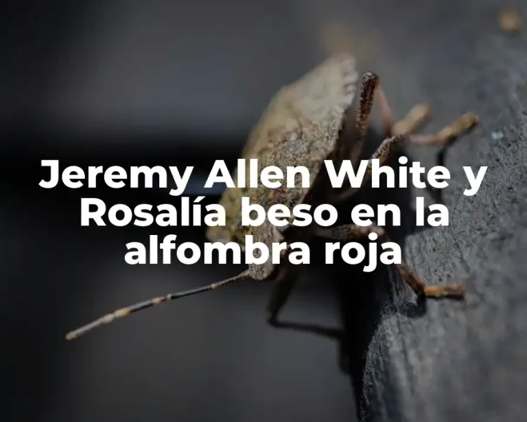 Jeremy Allen White y Rosalía beso en la alfombra roja