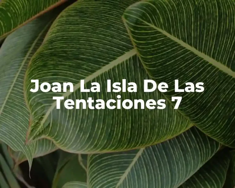 Joan La Isla De Las Tentaciones 7