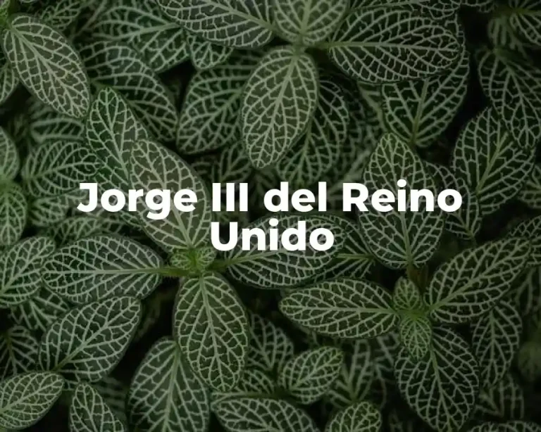 Jorge III del Reino Unido