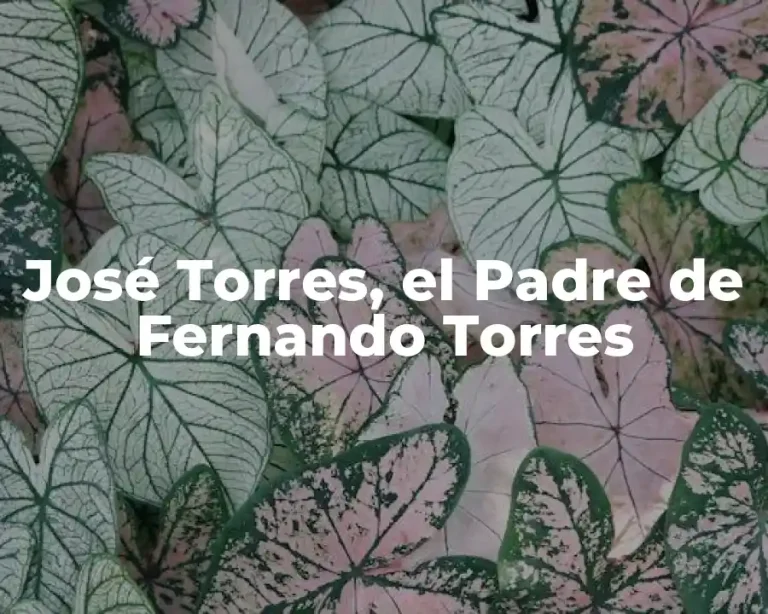 José Torres, el Padre de Fernando Torres