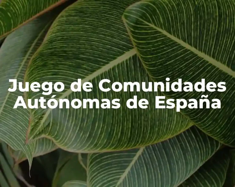 Juego de Comunidades Autónomas de España