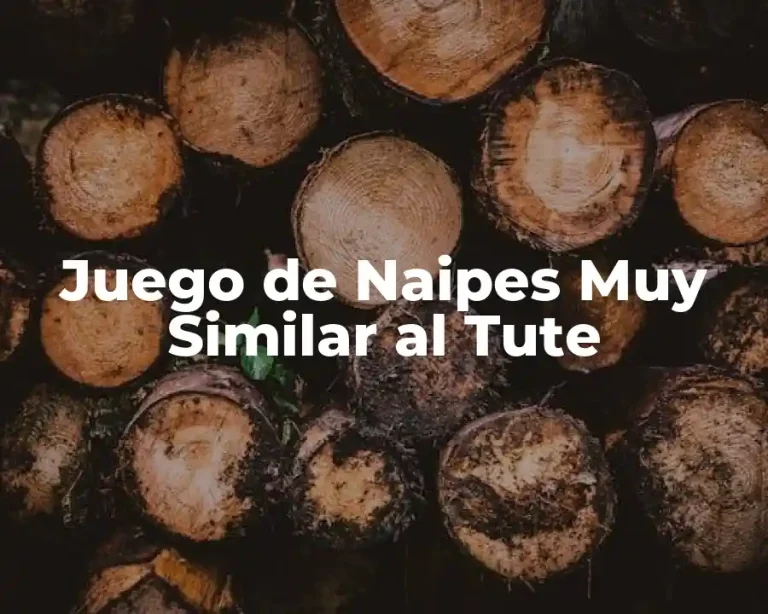 Juego de Naipes Muy Similar al Tute