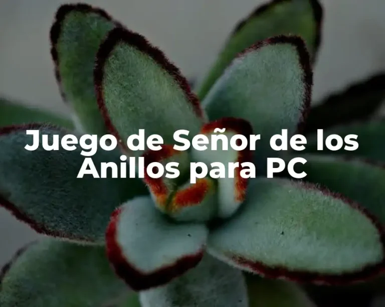 Juego de Señor de los Anillos para PC
