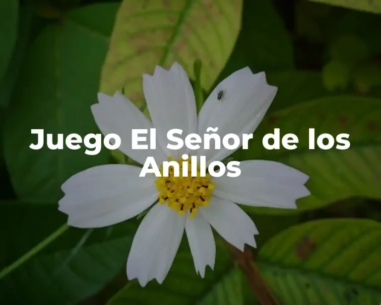 Juego El Señor de los Anillos