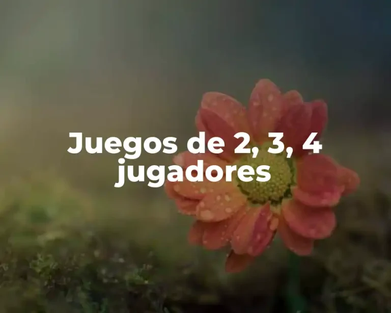 Juegos de 2, 3, 4 jugadores