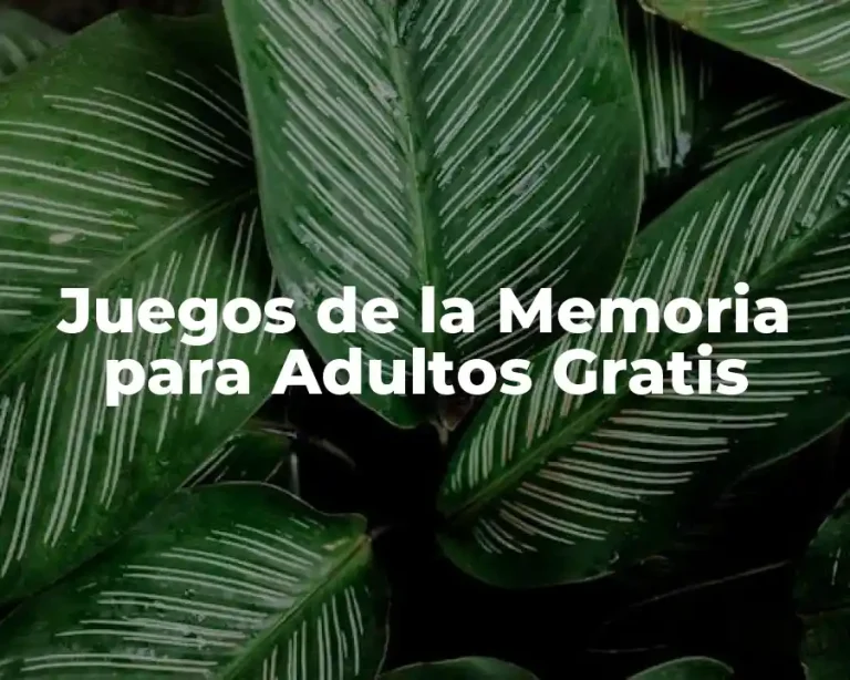 Juegos de la Memoria para Adultos Gratis