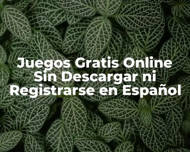 Juegos Gratis Online Sin Descargar ni Registrarse en Español