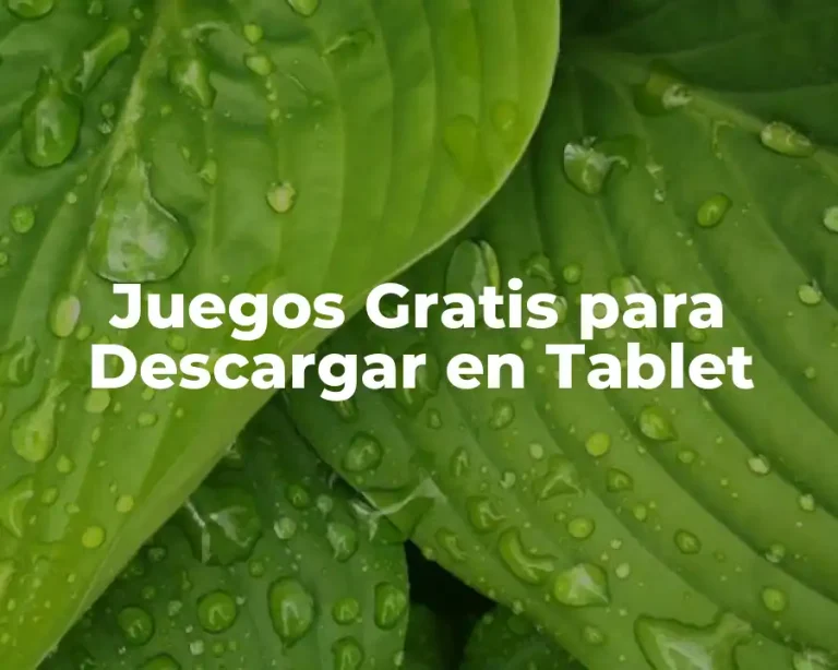 Juegos Gratis para Descargar en Tablet