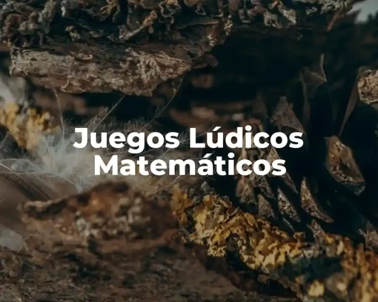 Juegos Lúdicos Matemáticos