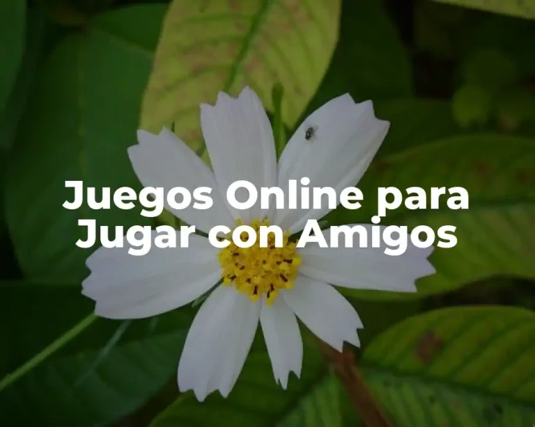 Juegos Online para Jugar con Amigos