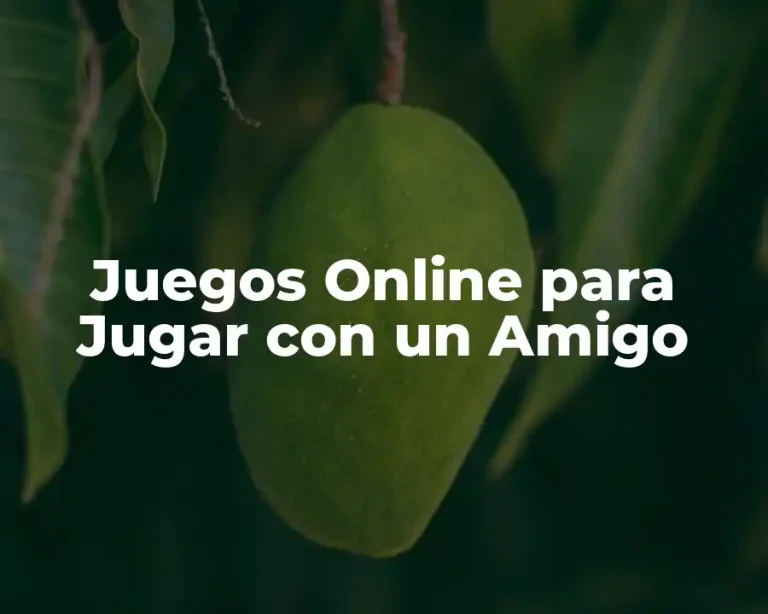 Juegos Online para Jugar con un Amigo