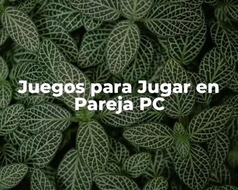 Juegos para Jugar en Pareja PC