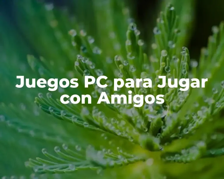Juegos PC para Jugar con Amigos