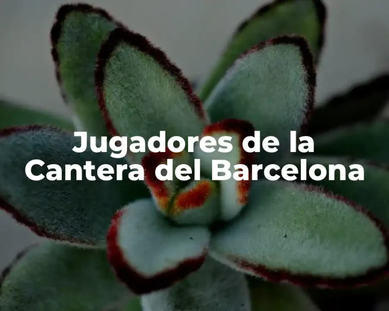Jugadores de la Cantera del Barcelona