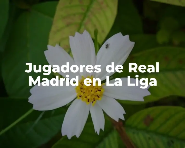 Jugadores de Real Madrid en La Liga