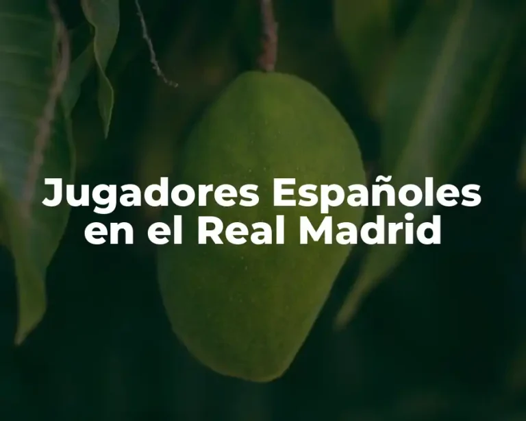 Jugadores Españoles en el Real Madrid