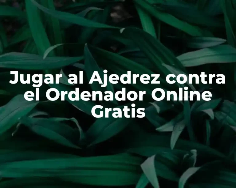 Jugar al Ajedrez contra el Ordenador Online Gratis