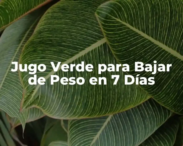 Jugo Verde para Bajar de Peso en 7 Días