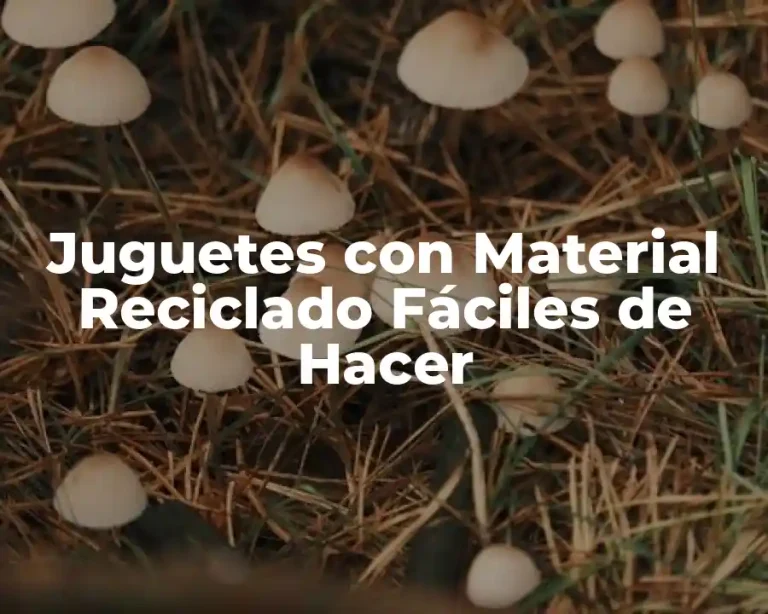 Juguetes con Material Reciclado Fáciles de Hacer
