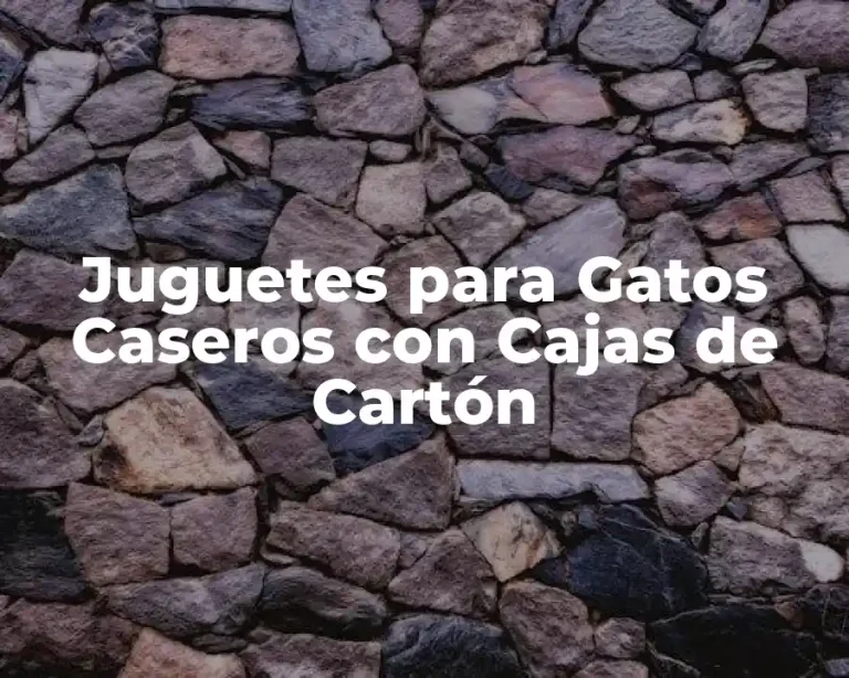 Juguetes para Gatos Caseros con Cajas de Cartón