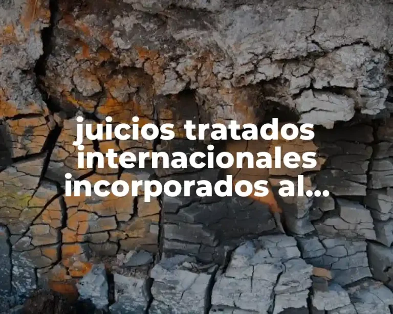 juicios tratados internacionales incorporados al derecho nacional
