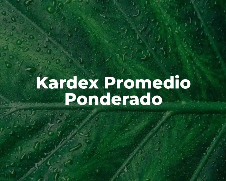 Kardex Promedio Ponderado