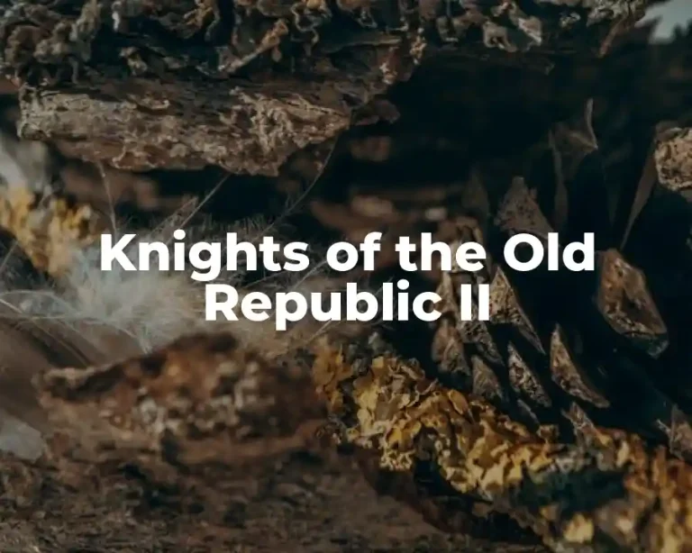 Knights of the Old Republic II