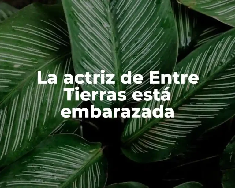 La actriz de Entre Tierras está embarazada