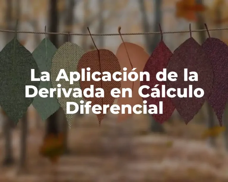 La Aplicación de la Derivada en Cálculo Diferencial