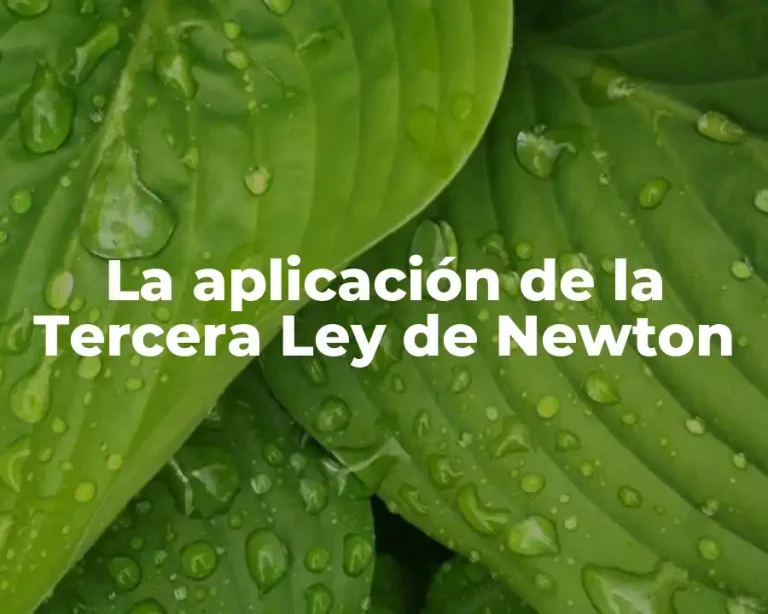 La aplicación de la Tercera Ley de Newton