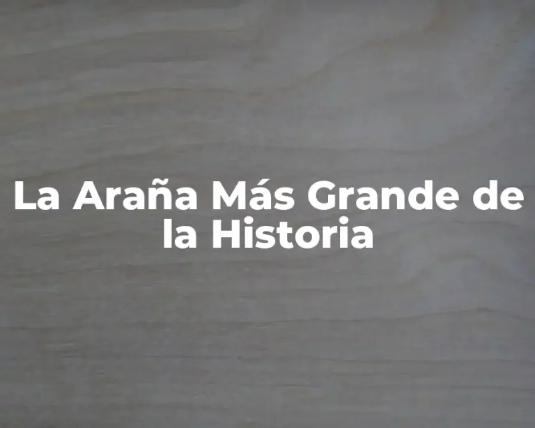 La Araña Más Grande de la Historia