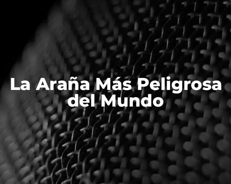 La Araña Más Peligrosa del Mundo