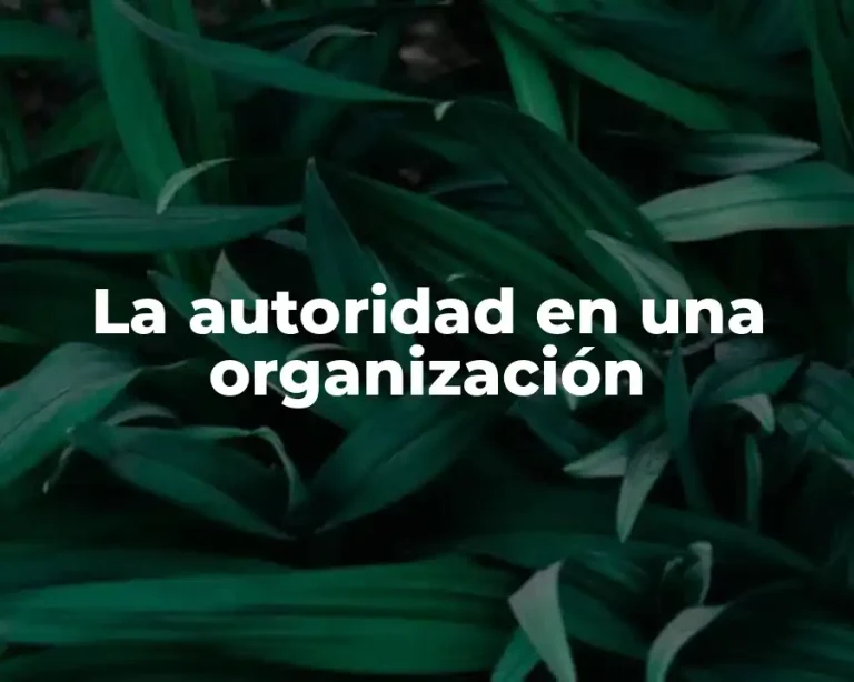 La autoridad en una organización