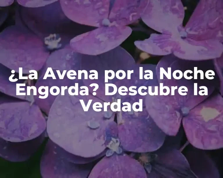 ¿La Avena por la Noche Engorda? Descubre la Verdad