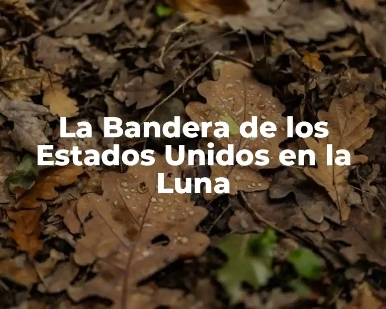 La Bandera de los Estados Unidos en la Luna