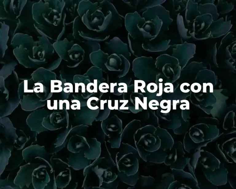 La Bandera Roja con una Cruz Negra