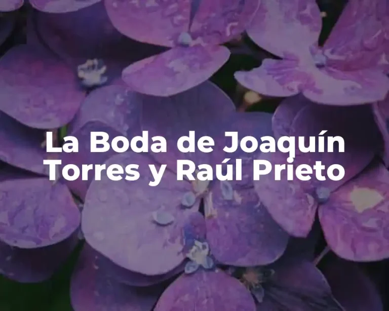 La Boda de Joaquín Torres y Raúl Prieto