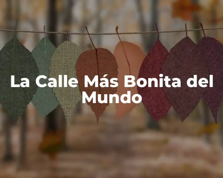 La Calle Más Bonita del Mundo