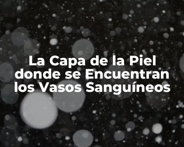 La Capa de la Piel donde se Encuentran los Vasos Sanguíneos
