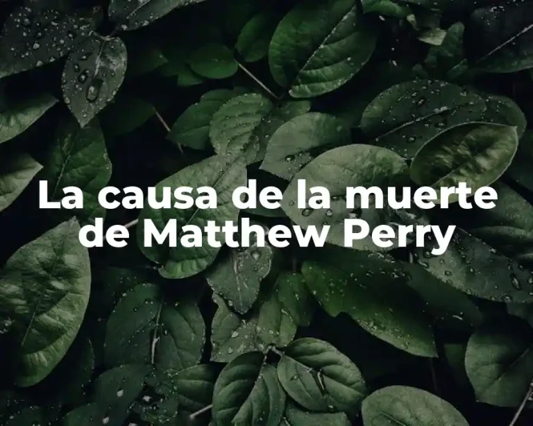 La causa de la muerte de Matthew Perry