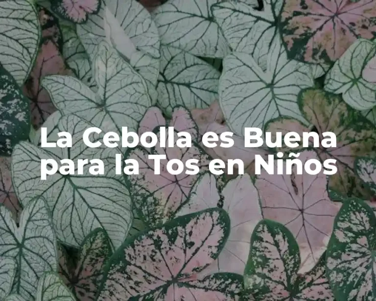 La Cebolla es Buena para la Tos en Niños