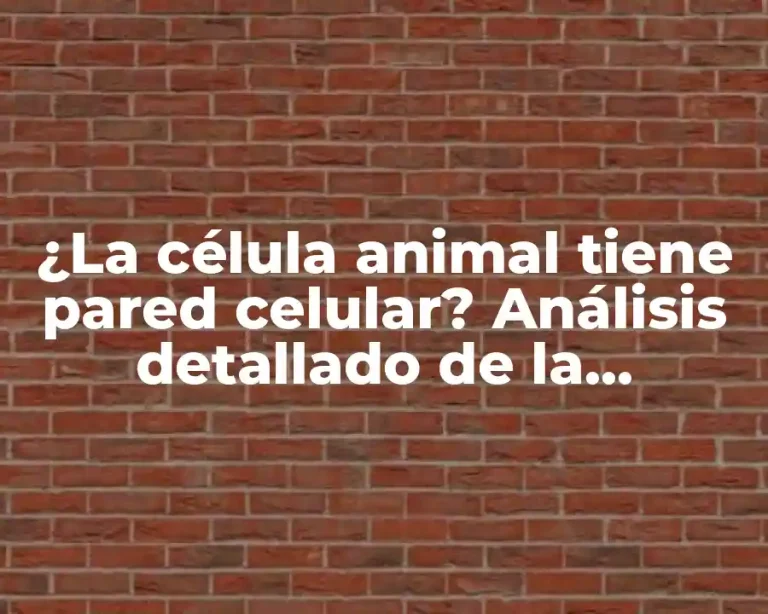¿La célula animal tiene pared celular? Análisis detallado de la estructura celular