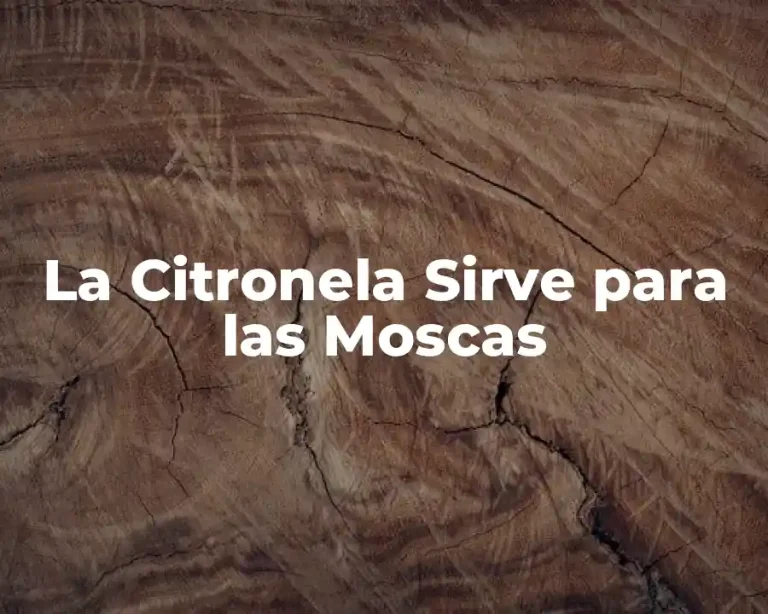 La Citronela Sirve para las Moscas