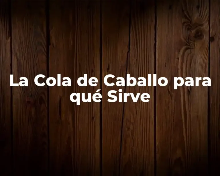 La Cola de Caballo para qué Sirve