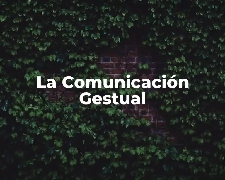 La Comunicación Gestual