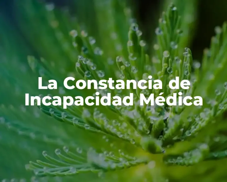 La Constancia de Incapacidad Médica
